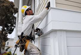 Best Siding Painting and Refinishing  in Buffalo Grove, IL